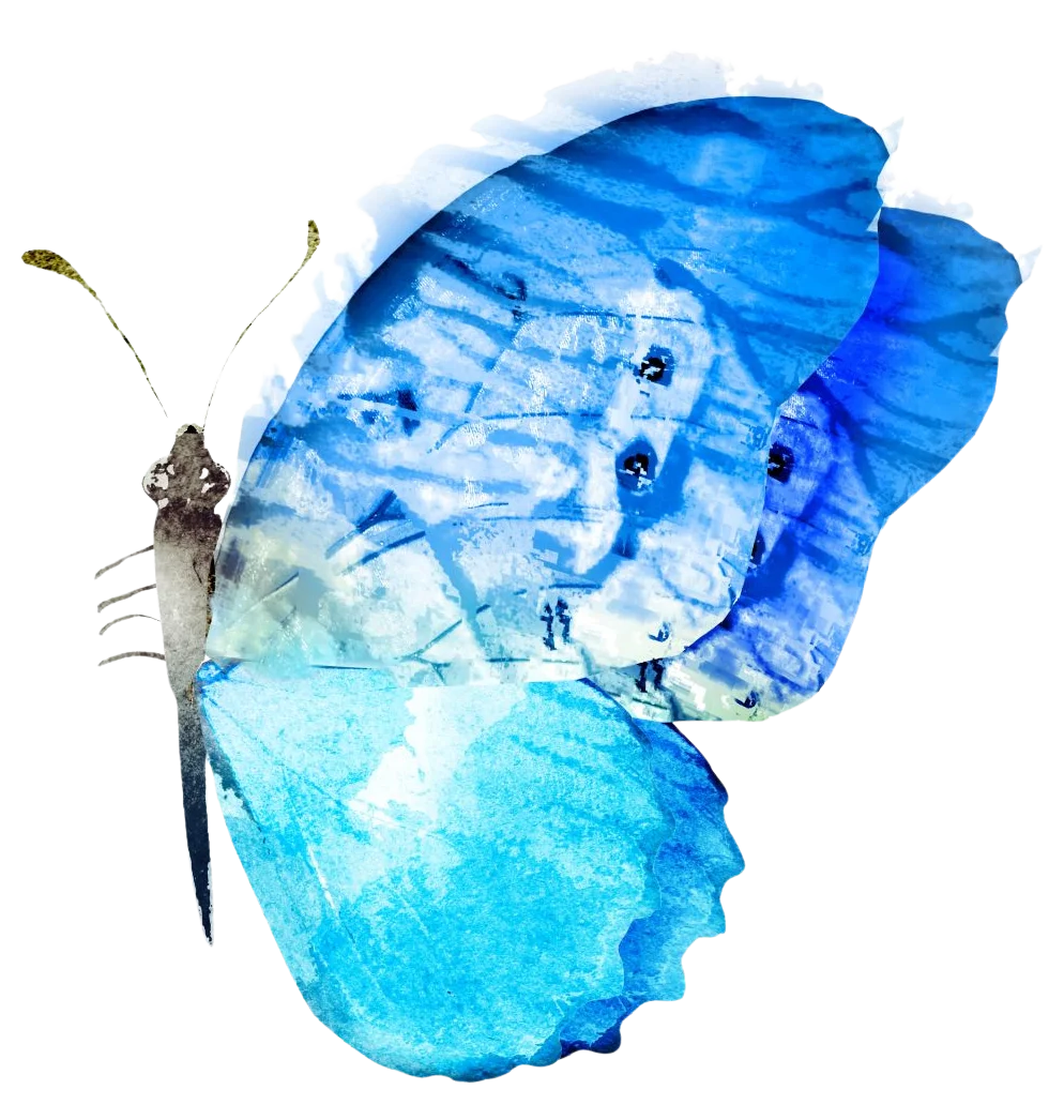 Blue Butterfly